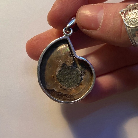 Ammolite Pendant - Picture 3 of 5